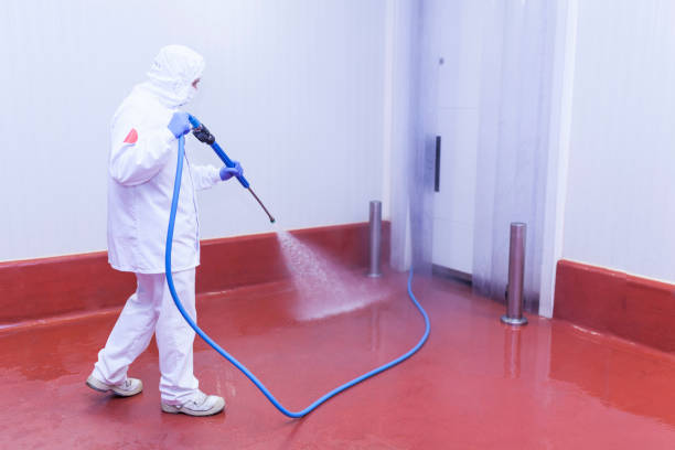 Best Playground Equipment Cleaning  in Reading, PA